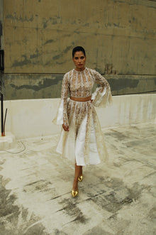 Ivory